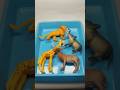 Animal toys satisfying ASMR #shorts #satisfying #animal #toys