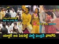 Hero Aadi Pinisetty and Nikki Galrani haldi function