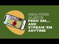 5 Reasons You Need the FeatherSnap App 🖐️🐦