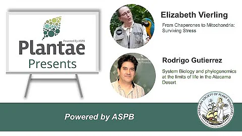 Plantae Presents - Elizabeth Vierling and Rodrigo ...