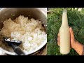 Homemade Rice Beer How To Make Rice Wine Recipe Lockdown Recipes Bachelor Cooking Recipes 