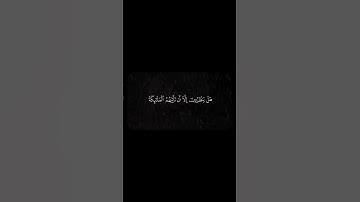 القرآن الكريم | تلاوة خاشعة #قرآن #تلاوة_خاشعة #quran #راحة_نفسية #القرآن_الكريم