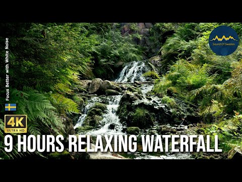 9-Hour Relaxing Swedish Waterfall: Solvarboravinen White Noise for Sleep, Study, and Stress Relief