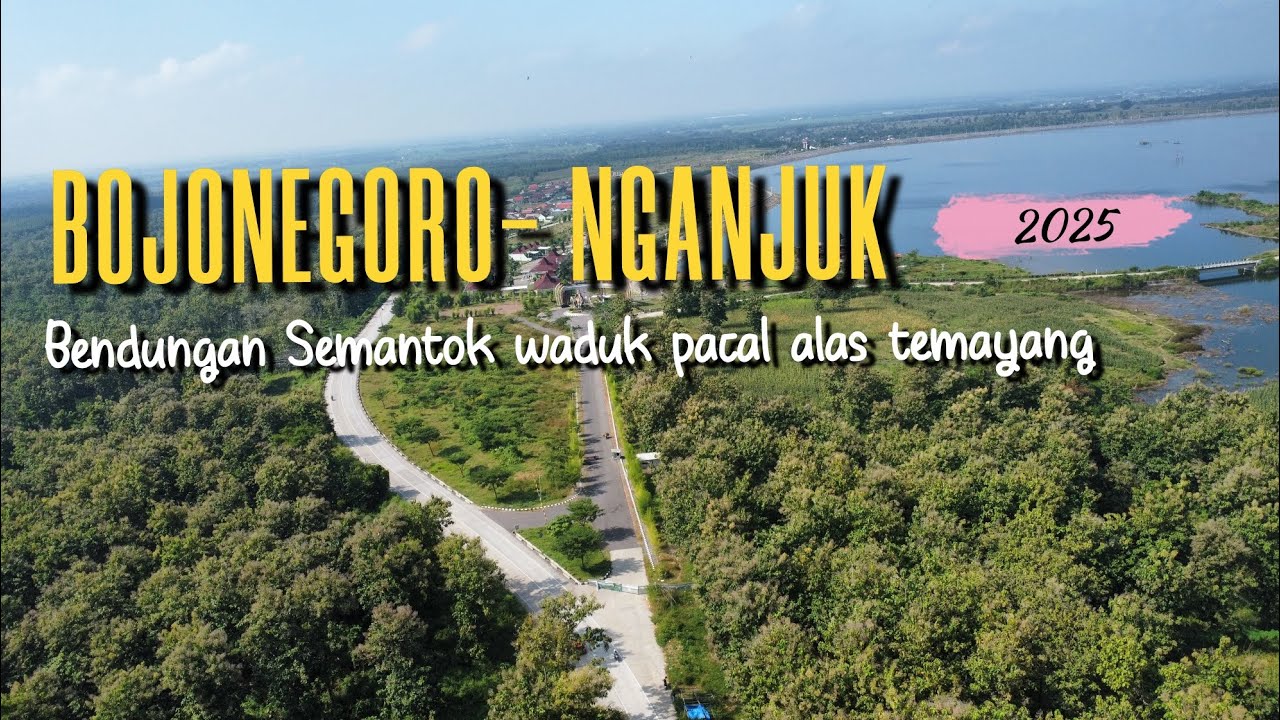 INDAH SEKALI‼️MELINTASI PANJANGNYA ALAS TEMAYANG DAN BENDUNGAN TERBESAR