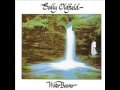 Capture de la vidéo Sally Oldfield - Water Bearer