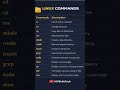 Linux Commands#Linux#aws #LinuxBasics#Freshers#TechLearning#YouTubeShorts#TechShorts#MVSInfoTech