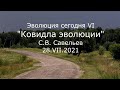 С.В. Савельев -  - Ковидла эволюции