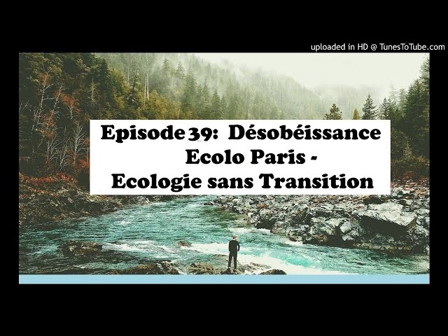 Ecologie sans transition, le livre par Désobéissance-Ecolo Paris