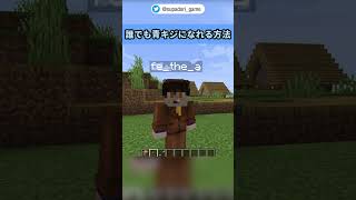 【マイクラ】コマンドを使えば誰でも青キジになれる？