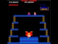 Donkey kong pauline edition previous version of mame