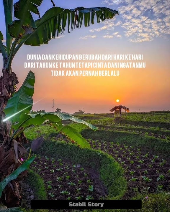 Story WA 30 detik || Dj.raiso dadi siji