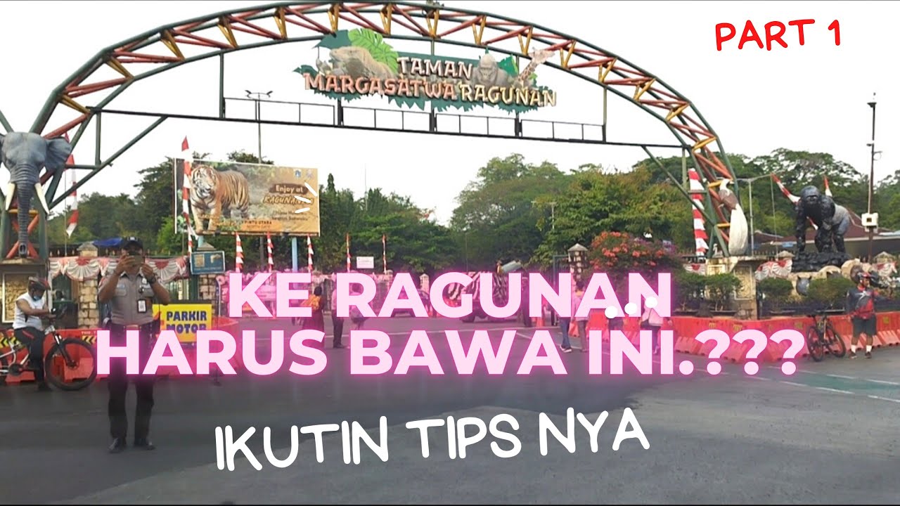 HEALING KE RAGUNAN | info tiket 2022 #ragunan #healing #ragunan #kebunbinatang #jakartaselatan