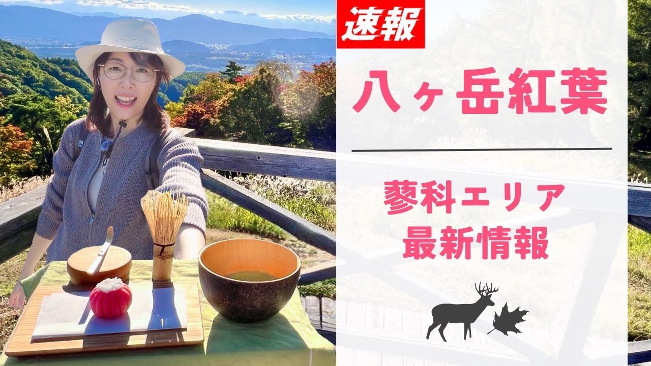 【速報！八ヶ岳】2025蓼科の紅葉／横谷観音の紅葉ストレート