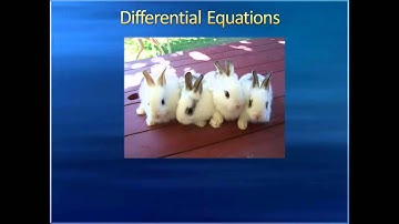 Introduction to Higher Mathematics - Lecture 19: Epilogue