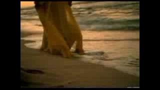 Keyshia Cole Heaven Sent Official Music Video NEW