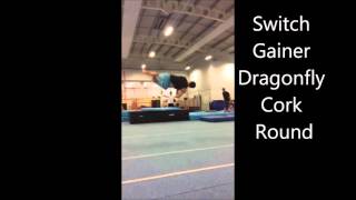 dragon fly corks, varaints