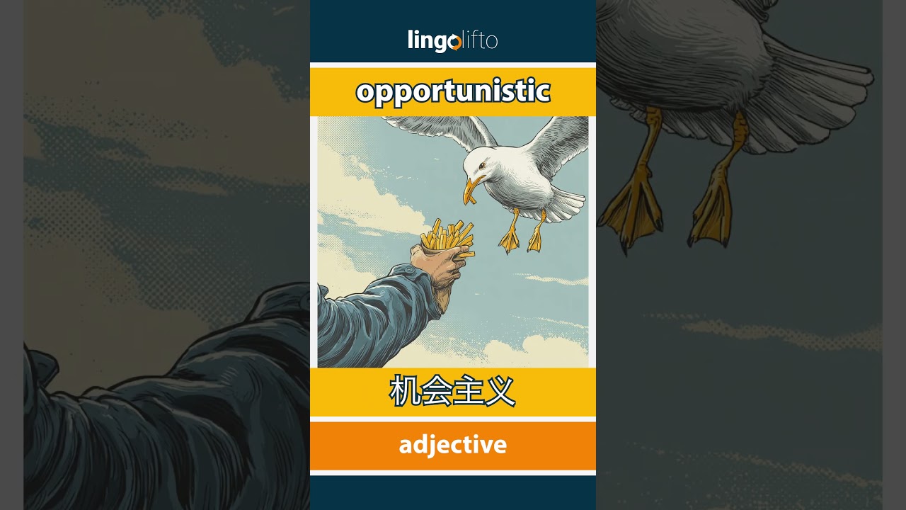 🇬🇧🇨🇳 opportunistic - 机会主义: learn English : 让我们学习英语: vocabulary builder  - YouTube