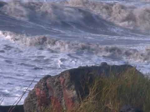 ფოთში, უამინდობის გამო ზღვაზე ბანაობა აიკრძალა 23 07 19