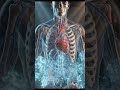 What Happens Inside Your Body When You Drink Cold Water Too Fast #healthyhydration #detoxwater #yt