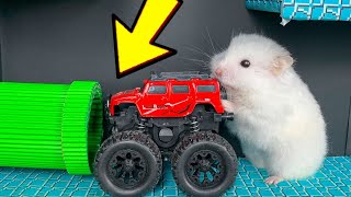 🐹 Hamster Escapes the Bad Princess Maze for Pets in real life 🐹 Homura Ham by Love Hamster - Other Pets 11,236 views 2 years ago 4 minutes, 23 seconds