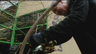 One metro school helping another on a day of service