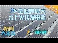 《新闻大求真》20180316期：水上光伏发电是如何运作的？ News and science【芒果TV精选频道】