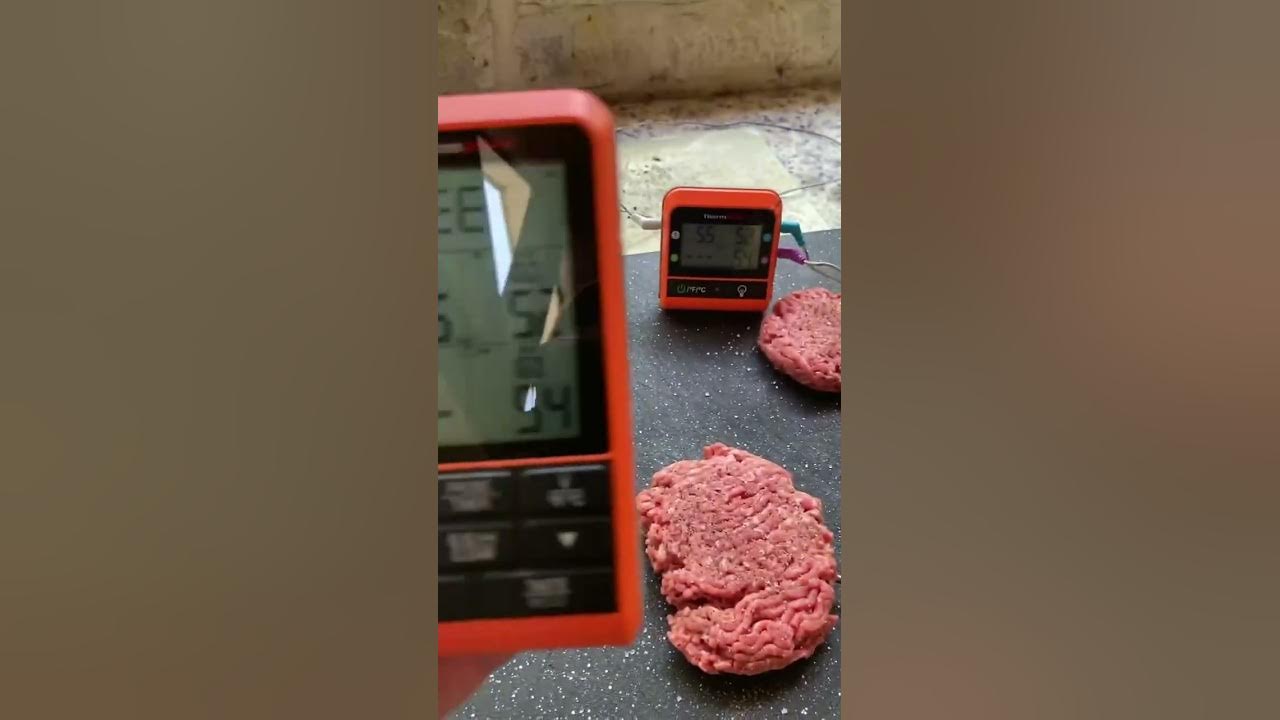 ThermoPro TP829 Wireless Meat Thermometer for Grilling and Smoking