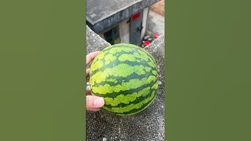 Experiment: Will the watermelon explode when it rolls down in a high-rise building?#shorts