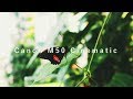 Cinematic Footage: Canon M50 with the EF-M 15-45mm 3.5-6.3f IS STM