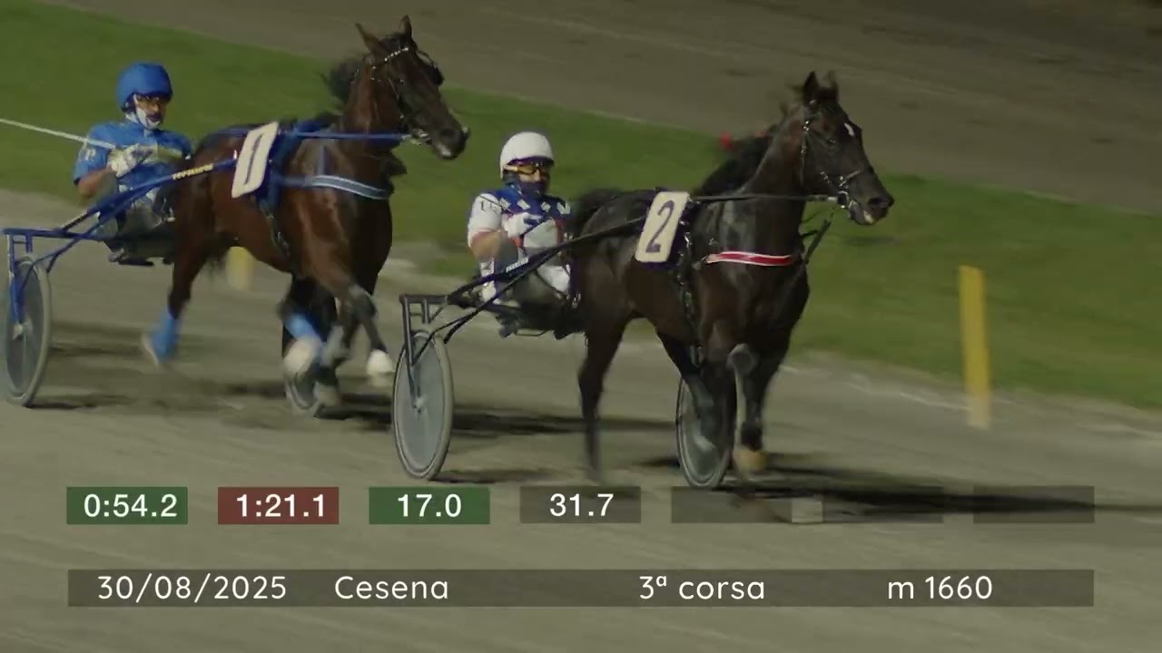 2025 08 30 | Corsa 3 | Metri 1660 | Premio Cescot Formazione Cesena - Trofeo Croce Rossa Italiana
