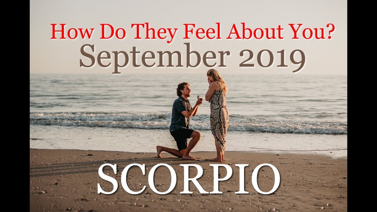 SCORPIO How Do They Feel? - SEPTEMBER 2019 - Love Horoscope & Tarot