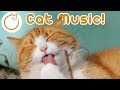 Cat Music Therapy: Instantly Calm My Cat with NEW Reggae Music for Cats! (2018)