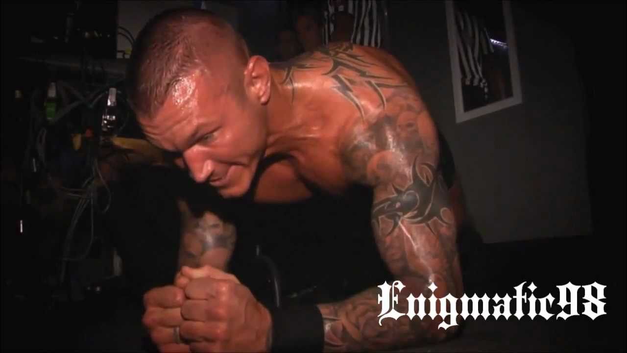 WWE DVD Randy Orton "The Evolution Of The Predator