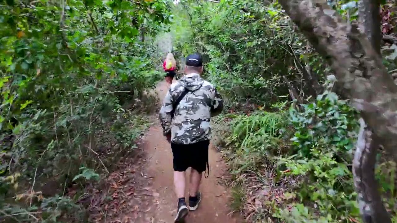 PENINSULA LICAN RAY, WALKING SHOT BY DJI NEO - CHILE