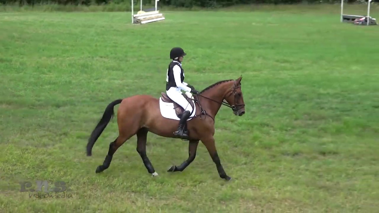 Susan Robie & Castle Diamond at GMHA Festival of Eventing 2019