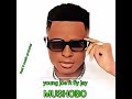 Young Joe Ft Fly Jay Mushobo Real G Musicpromoter 