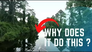 Leaving the Great Dismal Swamp, Ep 97