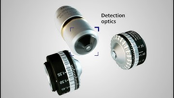 ZEISS Lightsheet 7 - Beam Path Animation