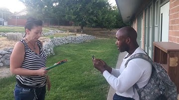 The 27 By: Donald Griffin & Wendy L Wiglesworth