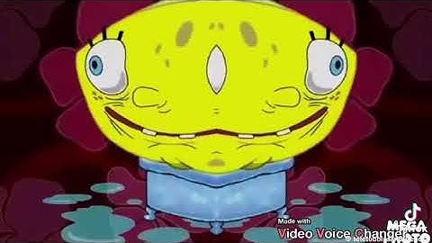 SpongeBob SquarePants Theme Song Confusion