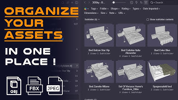 Organize Your Assets Professionally!