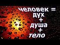 человек = дух + душа + тело.