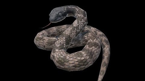 Stranded Deep Snakes Are Overpowered