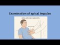 Apical impulse examination