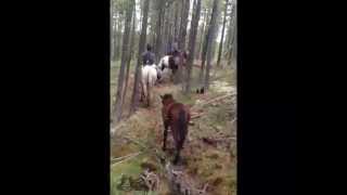 Путешествие по тайге. Тува 2014 г.(, 2014-08-14T09:14:29.000Z)