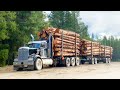 Автопоезда Лесовозы Timber trucks