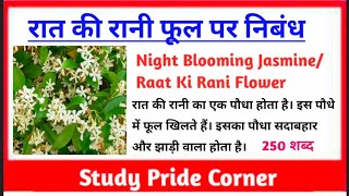 Essay on Raat Ki Rani Flower | Essay on Night Jasmine in Hindi | रात की रानी फूल पर हिन्दी निबंध