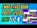 How to Add Embed Facebook Posts in WordPress For Free? Easy Social Feed 2024