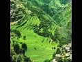 ايوب طارش والصبح ماحلاه يطلع