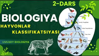 2-Mavzu: Hayvon organizmining tuzilishi, hayvonlarni klassifikatsiya qilish